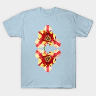 Tulipa 'Flaming Parrot' Parrot Group Tulip T-Shirt